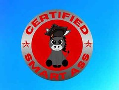 Certified Smart Ass funny sticker, hard hat sticker, Smartass sticker