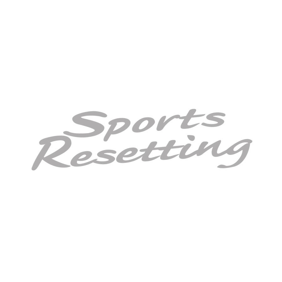 SPORTS RESETTING FENDER DECAL : FITS NISSAN SKYLINE R34 (SILVER)