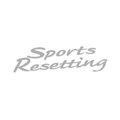 SPORTS RESETTING FENDER DECAL : FITS NISSAN SKYLINE R34 (SILVER)