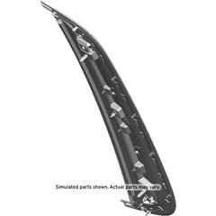 Genuine GM Rear Passenger Side Door Window Frame Rear Applique 84966052