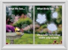 Protect Birds with Leaf Medley UV-Reflective Window Decals – 5 Decorative Clings