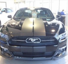 10″ PLAIN Rally Racing Stripe Graphics Stripes Set FIT 2015 – 2025 Mustang