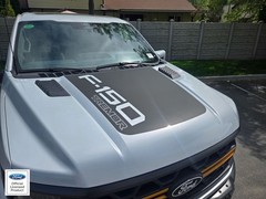 FITS 2021-2025 Ford F150 Platinum/Tremor Hood Stripe Vinyl Sticker Decal V2