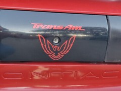 Trans Am Rear Panel Overlay Decal – 93-02 Trans Am