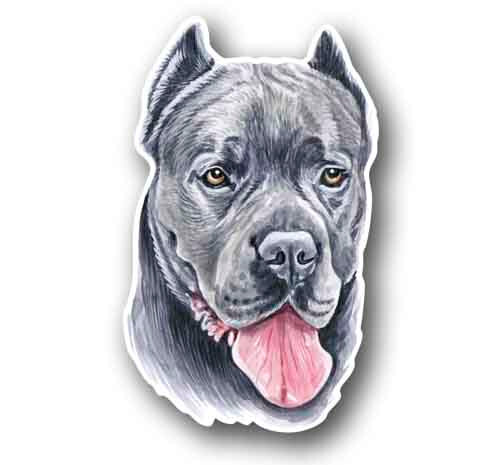 Cane Corso Dog 5.25″ Tall Sticker Decal Waterproof Vinyl UV Laminated