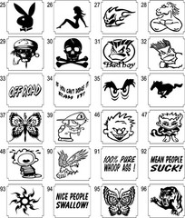 INSANITY SCRIPT Graphic Car Vehicle HighQuality Vinyl Decal-WeatherResistant #13