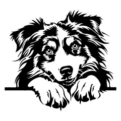 Australian Shepherd Peeking Premium Customizable Vinyl Decal Waterproof