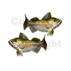 Walleye Sticker Decal Fishing RV Boat Car Truck Camper Trailer F109 2 Pack