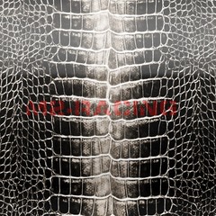 【Alligator Skin Retiles】 2D Gloss Vinyl Wrap Sticker Decal Bubble Free Sheet DIY