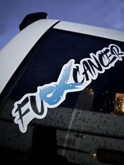 Custom F*ck Fck Cancer Car Decal Sticker Ribbon Breast Prostate Skin Colon Pink