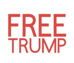 Die Cut Vinyl Decal – President Donald Trump – 2024 Maga Make America Great