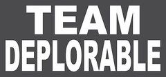 TEAM DEPLORABLE Trump vinyl decal sticker die cut BS-4010