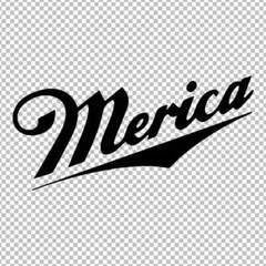 Merica Vinyl decals Look good on any vehicles back window