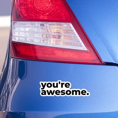 Funny Text Quote Vinyl Bumper Sticker Decal (3PCS) – “You’re Awesome”