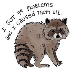 Raccoon Phone Sticker (2 Inch) Funny I got 99 Problems Silly Humor Cute Animal