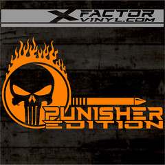 Flaming Skull Punishment Limited Edition Dicut Decal 2 Sizes FREE SHIPPING