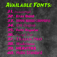 700mm CUSTOM STICKER – Vinyl Text Lettering Decal Name Shop Car Window Van Fun