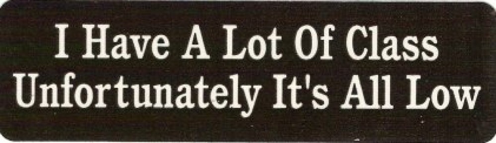 Motorcycle Sticker for Helmets or toolbox #425 I have a lot of class unfortunate