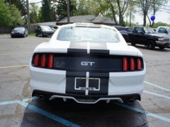 10″ PLAIN Rally Racing Stripe Graphics Stripes Set FIT 2015 – 2025 Mustang