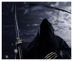 H14 GRIM REAPER Hood Wrap Wraps Carbon Decal Sticker Tint Vinyl Image Graphic