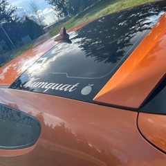 4″x30″ Custom Outdoor Vinyl Lettering Decal Sticker Truck Car Windshield Bumper!