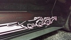3 Horse Running Fit all Year Mustang Rocker stripes Stripe Graphics Set Decals