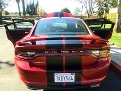 FOR Dodge CHARGER 15 to 25 Racing Stripe 10″ Graphic Vinyl Decal Sticker 36 FEET