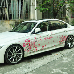 Graphics Cherry Blossom Car Sticker Lovely Flower Waist Line Vinyl Decal 2 Sides