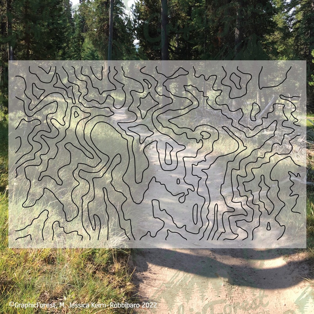 28.5×17 inch Topographic Map Decal