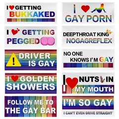 Gdnecad 10 PCS Bumper Decals, Waterproof Vinyl Stickers Funny LGBT Style 2