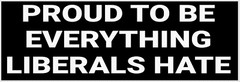 (3) PROUD TO BE EVERYTHING LIBERALS HATE STICKER PRO-TRUMP HELMET MOTORCYCLE