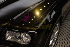 Color PPF Paint Protection Film Gloss Black Gold Metallic Scratch Shield Wrap