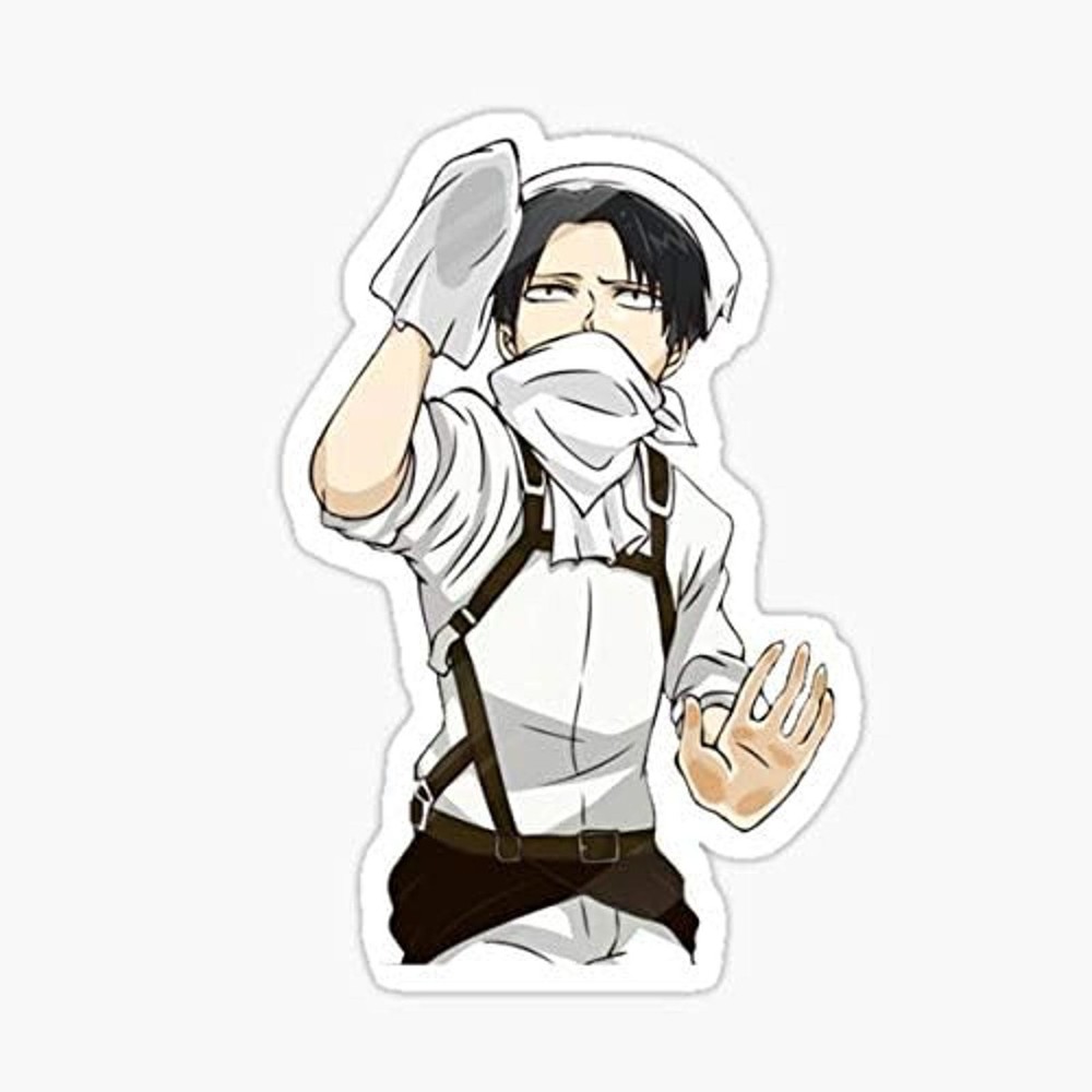 AOT Cleaning Levi Multi-Surface Vinyl Sticker 6″ Waterproof