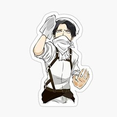 AOT Cleaning Levi Multi-Surface Vinyl Sticker 6″ Waterproof