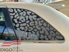 Pre-cut 2007-2014 Ford Edge Quarter Window Leopard Cheetah Print Decal Sticker