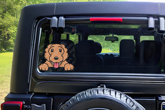 Goldendoodle Dog Decal sticker window cling, easy apply uv water resistant pet