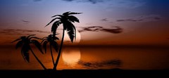 Golf Cart Tropical Palm Tree Large Rear Fender Wrap Charphics FIT EZGO Club Car