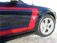 FASTBACK 1 Side C Stripes Graphics Decals fits 2005 2006 2007 2008 2009 Mustang