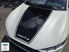 Fits 2021-2025 Ford Mustang Mach E Center Hood Stripe W Mach E Vinyl Decal