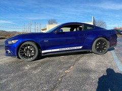 Compatible for 2015 – CURRENT MUSTANG CLASSIC STYLE ROCKER STRIPE KIT