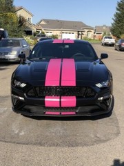 VVivid Xpo Matte Magenta Vinyl Car Wrap Film | V156