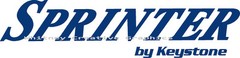 “SPRINTER By KEYSTONE” RV Graphic Lettering decal Made Fresh Any Color 49″X11″