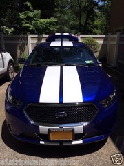 10″ Plain Rally stripes Stripe Graphics Fit 2010 16 18 Taurus LX SEL X SHO