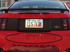 99-04 MUSTANG REAR BUMPER LETTER OUTLINES INSERTS DECALS FORD LICENSED STICKERS