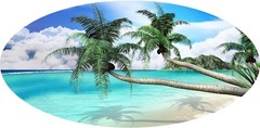 Beach Palm Tree Ocean Camper RV motor home mural graphic