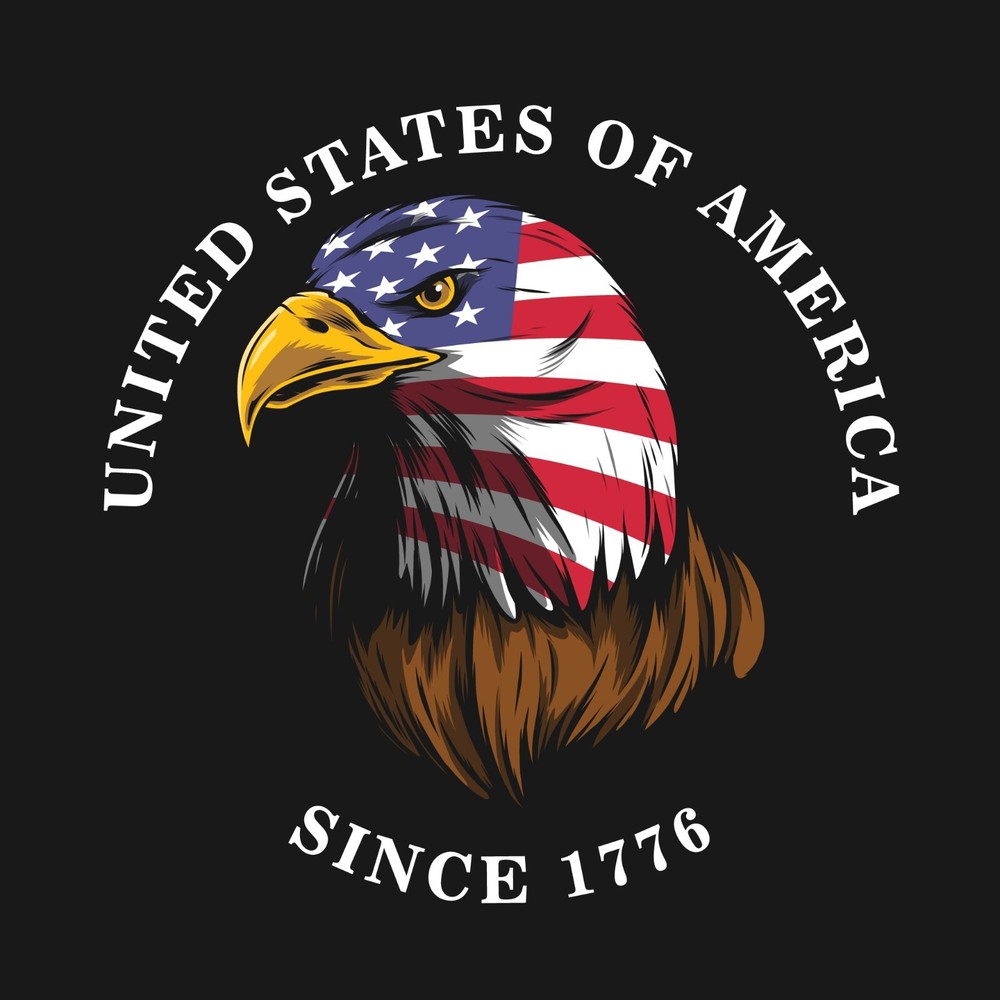 American Eagle American 1776 Vin M Window Decal Sticker Vinyl 6Years+ Resistance