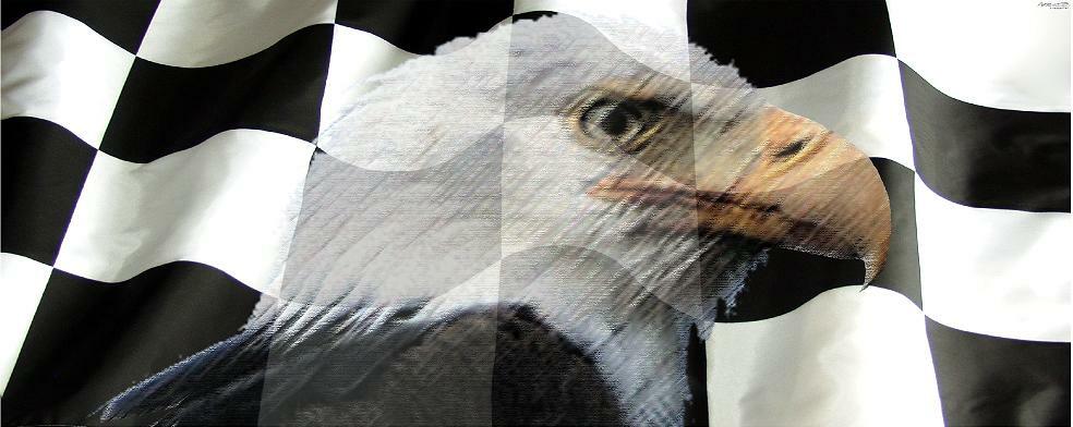 Checkered Flag Eagle Adhesive Vinyl Wrap Matte Finish NON Laminated 12″x36″