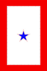 3″ x 1.98″ Oracal 651 Vinyl Red White & Blue Service Flag 1-5 Stars For Vehicle