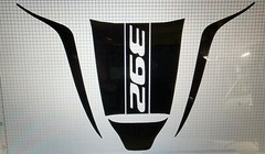 Compatible with Dodge Charger 15-21 Custom Hood Vinyl Package Graphics 4 piece