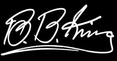 BB King Signature Vinyl Decal Sticker Autograph Jazz Blues Guitar rock & roll